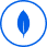 MongoDB